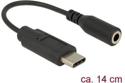DeLock Audio Adapter USB Type-C male > Stereo Jack female 14cm