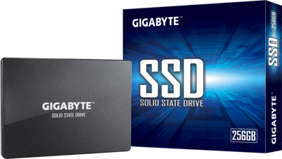 GIGABYTE 256GB - GP-GSTFS31256GTND