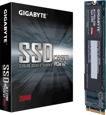 Gigabyte 256GB - GP-GSM2NE8256GNTD