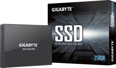 GIGABYTE UD Pro 256GB - GP-GSTFS30256GTTD