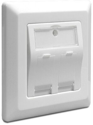 Delock - 86202 - Keystone Wall Outlet 2 Port