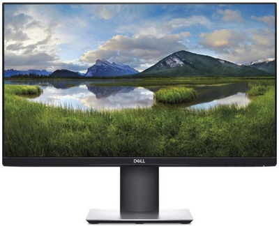 Dell - P2421DC