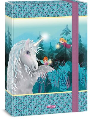 Ars Una Stardust 23 (5258) A4 füzetbox