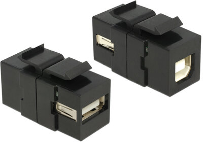 Delock Keystone modul 2db USB "A" aljzattal