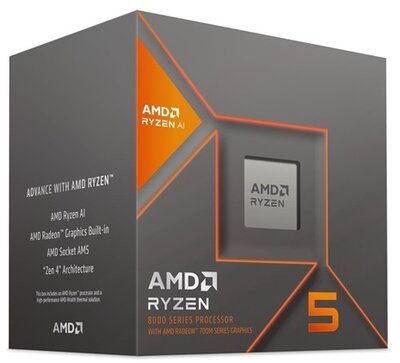 AMD RYZEN 5 - 8600G