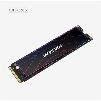 Hikvision - HIKSEMI FUTURE 1TB - HS-SSD-FUTURE(STD)/1024G/PCIE4/WW