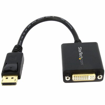 Startech - DisplayPort - DVI adapter - DP2DVI2