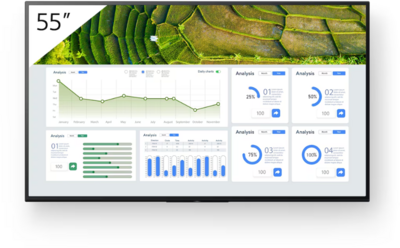 Sony - BZ30L 55" Professzionális kijelző - FW-55BZ30L (TÚLMÉRETES ÁRÚ)