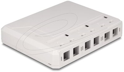 Delock - Keystone felületre szerelt doboz 6 porttal fehér - 67052