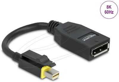 Delock - Mini DisplayPort 1.4 DisplayPort adapter retesszel záró funkcióval 8K 60 Hz - 65978