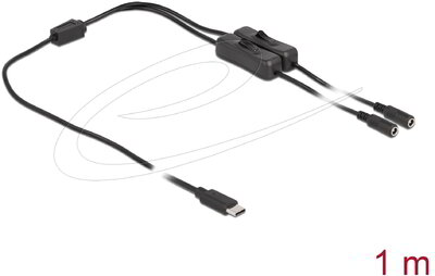 Delock - USB Type-C apa 2 db. DC 5,5 x 2,1 mm anya csatlakozójú, 1 méter hosszú kábel - 86800