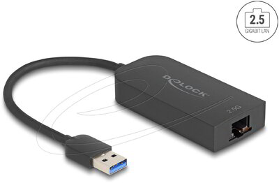 Delock - A-típusú USB adapter 2,5 Gigabit LAN - 66045