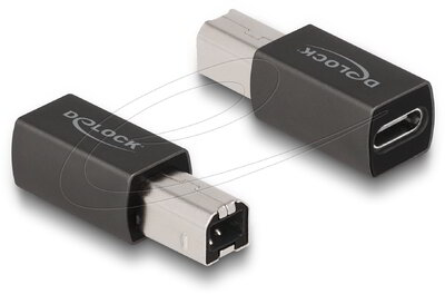 Delock - USB 2.0 adapter USB Type-C™ anya - USB Type-B apa - 65839