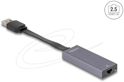 Delock - A-típusú USB adapter 2,5 Gigabit LAN vékony - 66247