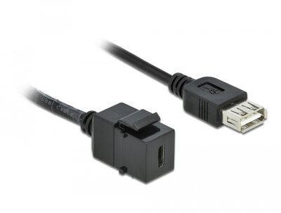 Delock - Keystone modul, USB 2.0 C-csatlakozóhüvely > USB 2.0 A-csatlakozóhüvely, kábellel - 86384