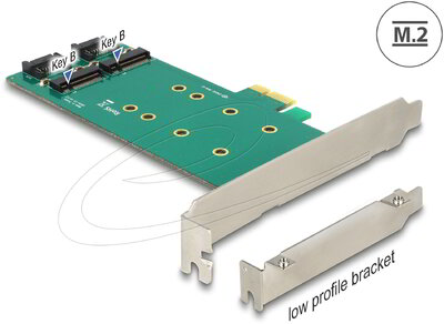 Delock - PCI Express kártya > 2 x belső M.2 Key B 110 mm - Alacsony profilú - 89473