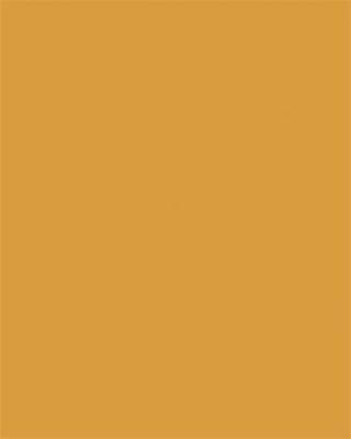 Dekorkarton, 2 oldalas, A4, 220 g, 100 lap, FOLIA, ochre, (100 lap)