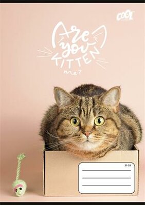 Füzet, tűzött, A5, vonalas, 32 lap, 4-8. osztály, COOL BY VICTORIA "Cats Forever", "21-32"