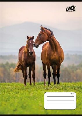 Füzet, tűzött, A5, vonalas, 32 lap, 1. osztály, COOL BY VICTORIA "Free Spirit", "14-32"