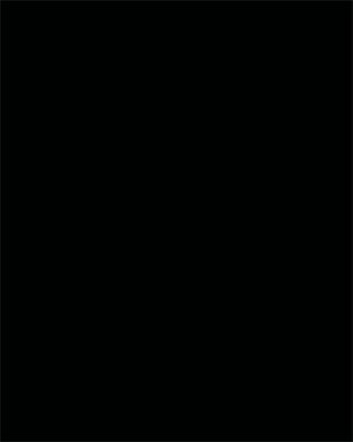 Dekorkarton, 2 oldalas, 50x70cm, 220 g, 10 lap, FOLIA, fekete, (10 lap)