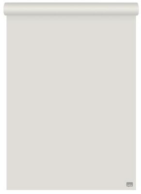 Flipchart papír, kétoldalas, sima/kockás, 580X810mm, 50 lap, NOBO, (50 lap)