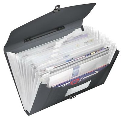 Harmonikatáska, A4, PP, 12 rekeszes, ESSELTE "Vivida", fekete