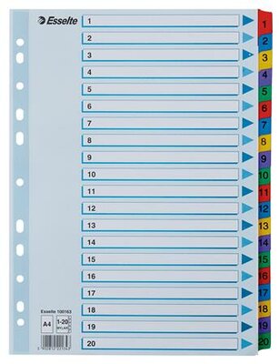 Regiszter, karton, A4, 1-20, ESSELTE "Mylar"