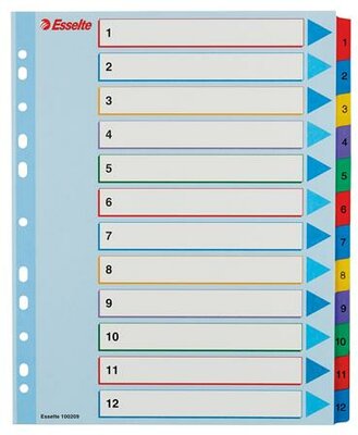 Regiszter, laminált karton, A4 Maxi, 1-12, újraírható, ESSELTE