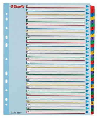 Regiszter, laminált karton, A4 Maxi, 1-31, újraírható, ESSELTE