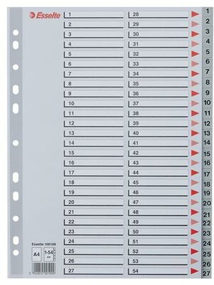 Regiszter, műanyag, A4, 1-54, ESSELTE, szürke