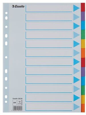 Regiszter, karton, A4, 12 részes, írható előlappal, ESSELTE "Standard", színes