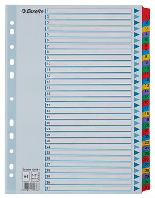 Regiszter, karton, A4, 1-31, ESSELTE "Mylar"