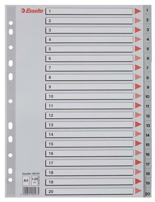 Regiszter, műanyag, A4, 1-20, ESSELTE, szürke