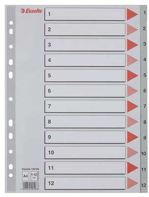 Regiszter, műanyag, A4, 1-12, ESSELTE, szürke