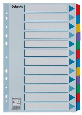 Regiszter, laminált karton, A4, 12 részes, ESSELTE "Mylar"