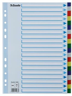 Regiszter, műanyag, A4, 20 részes, ESSELTE