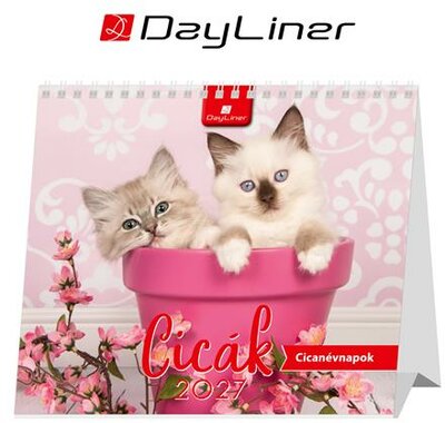 Naptár, asztali, álló, DAYLINER "Cicák"