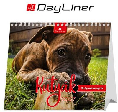 Naptár, asztali, álló, DAYLINER "Kutyák"