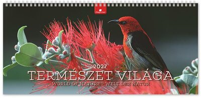 Naptár, asztali, álló, DAYLINER "Természet világa"