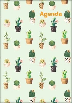 Naptár, tervező, A5, heti, DAYLINER, "Colors", Cactus
