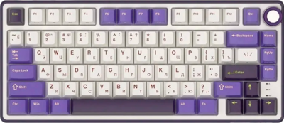 ROYAL KLUDGE - R75 GAMING KEYBOARD (US LAYOUT) - BROWN SWITCH - Blackberry - RK-R75-BBERRYMS-BRNSW-US