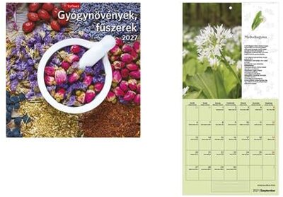 Naptár, fali, TOPTIMER, "Gyógynövények, fűszerek"