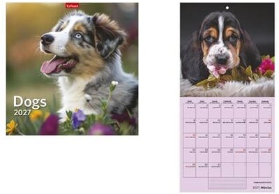 Naptár, fali, TOPTIMER, "Dogs"