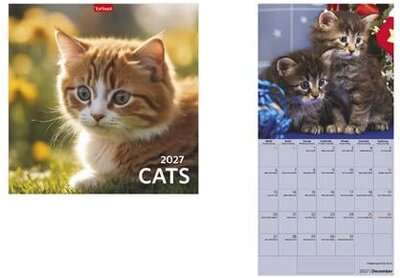 Naptár, fali, TOPTIMER, "Cats"