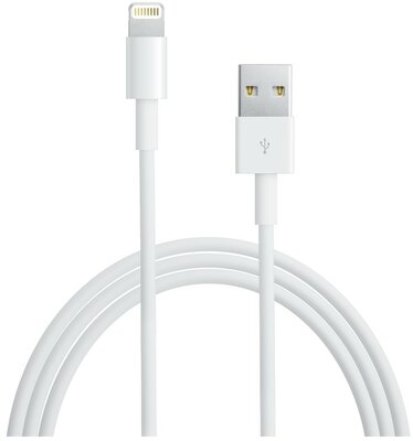 APPLE - Lightning to USB Cable 1m - MD818ZM/A