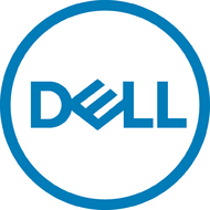 Dell 4TB Near Line SAS 12Gbps 7.2K 3.5" Hot-Plug HDD for PowerEdge 13gen