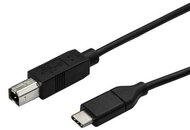 Startech - USB-C to USB-B Printer Cable - M/M - 0.5 m - USB 2.0
