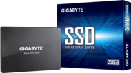 GIGABYTE 256GB - GP-GSTFS31256GTND