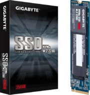 GIGABYTE - SSD M.2 2280 NVMe 256GB - GP-GSM2NE3256GNTD