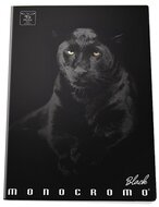 Pigna Moncromo Black Panther A5 sima notesz
